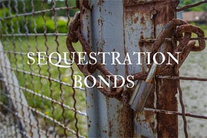 Texas Sequestration Bond