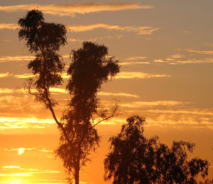 Sunset in Chandler, Arizona