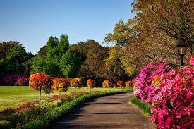 Picture of an Alabama driveway with flowers and trees
